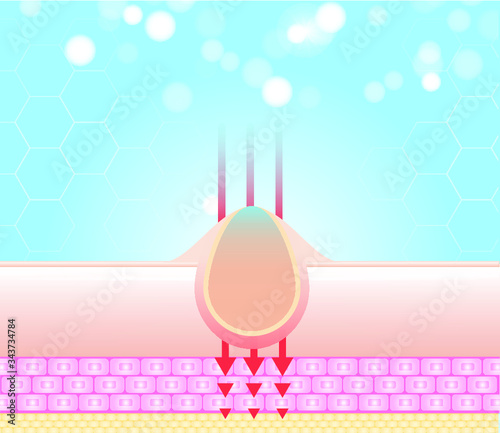 Three main layer of the human skin. skin aging stages diagrams, ollagen and elastin progressive decrease close up, skincare infographics. Illustration about medical diagram.