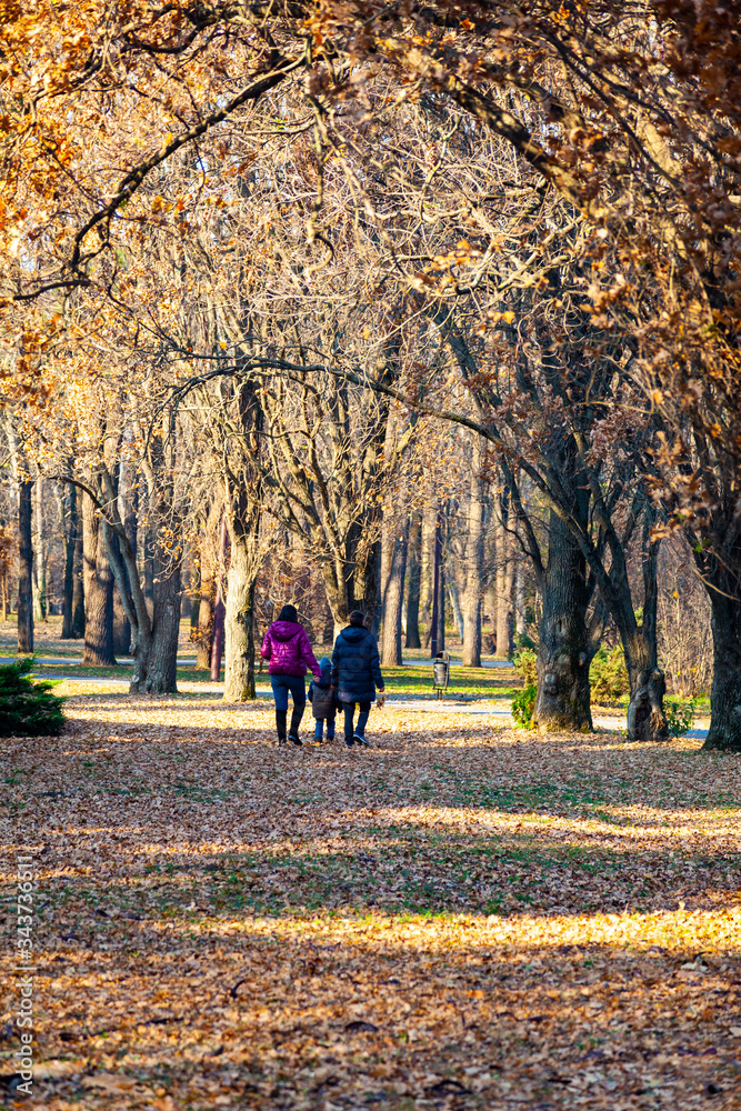 Family walks in the autumn park.