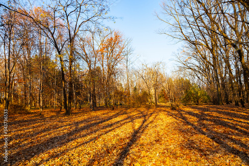 Beautiful autumn park.