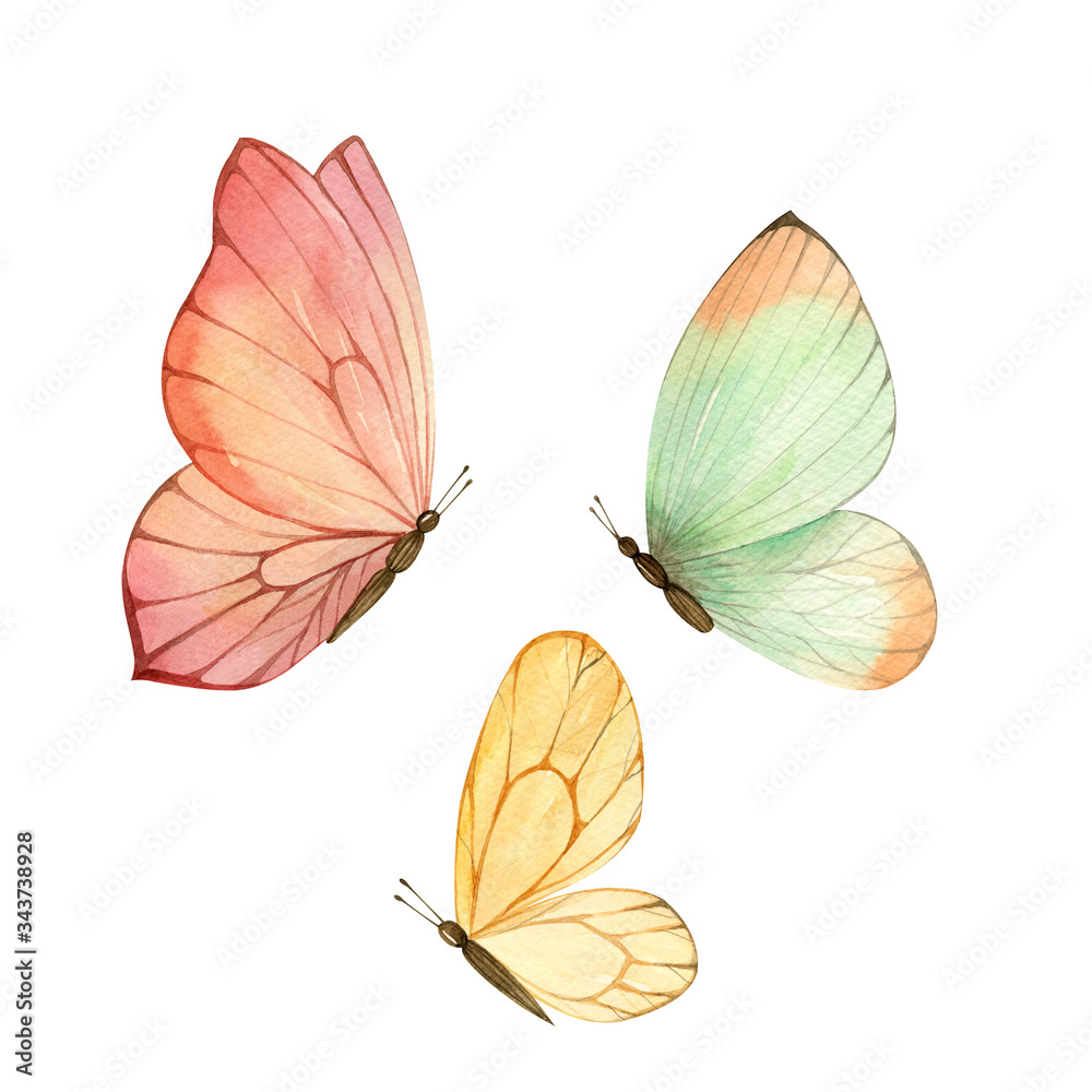 Obraz premium Watercolor colorful butterflies, isolated on white background, summer illustration