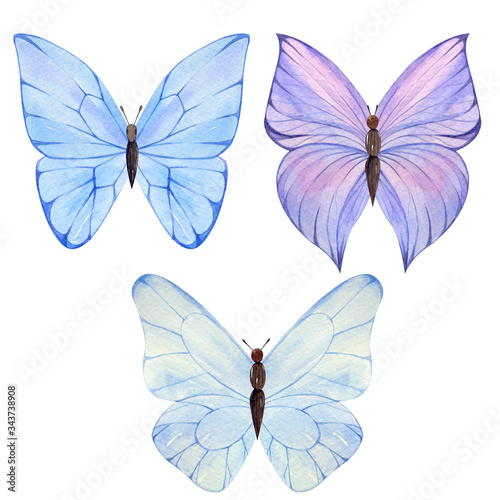 Watercolor colorful butterflies, isolated on white background, summer illustration © Larionochka Store