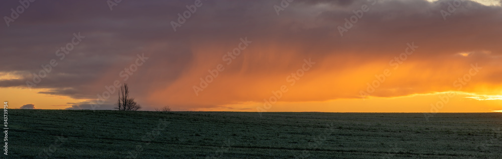 Beautiful, dramatic multi-colored clouds lit by the rising sun above the panorama of a green field of young grain