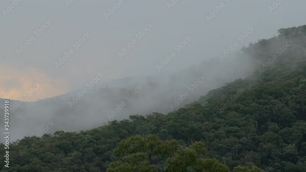 View of beautiful mountains covered by a dense forest of a strong green color and haze on its sides View of beautiful mountains covered by a dense forest of a strong green color and haze on its sides