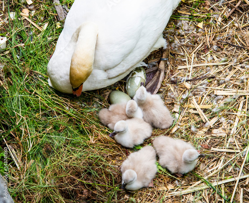 Breil sur Roya-Sur le lac