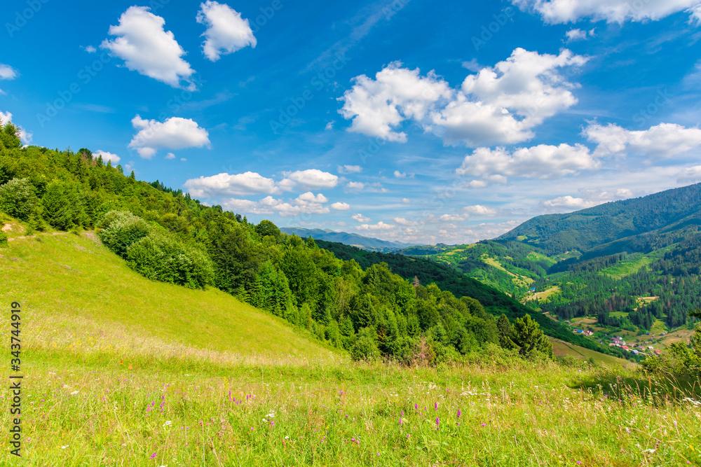 fields and meadows of rural landscape in summer. idyllic mountain scenery on a sunny day. grass covered hills rolling in to the distant ridge beneath a bright blue sky with fluffy clouds