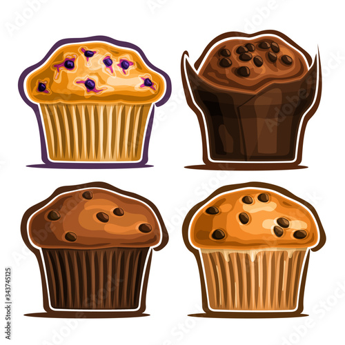 Vector Set of assorted Muffins, collection of 4 cut out illustrations of diverse muffins with blueberry and chocolate chips in paper case, set of fresh baked goods for cafe menu on white background.