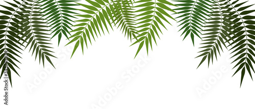 Tropical frame with green palm leaves. Vector background with tropical leaves with place for text. Vector banner for web design