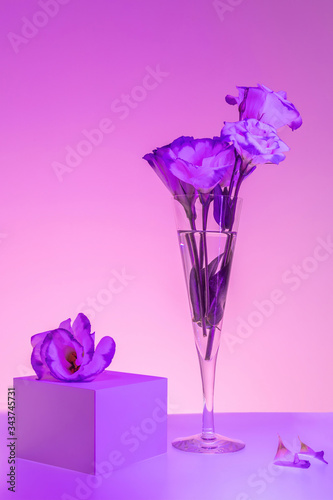 Violet and pink colored picture of flowers in a champagne flute and a gift box. Creative still life.