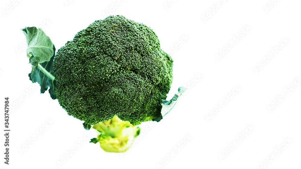 Broccoli isolated on white background 1 Broccoli isolated on white background 1