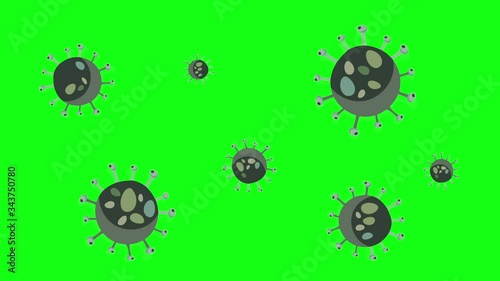 Coronavirus bacteria multiply on a green screen. The spread of the COVID-19 pandemic. Large virus cells under the microscope.