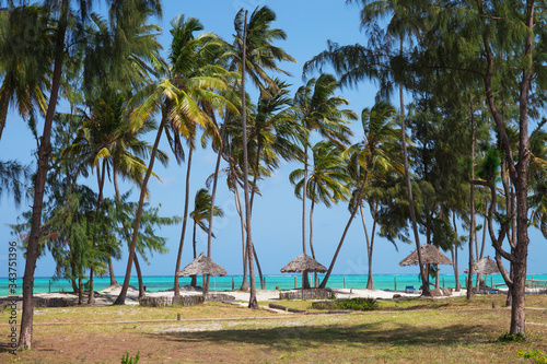 Beach resort with palm trees,Zanzibar island,Tanzania © darezare