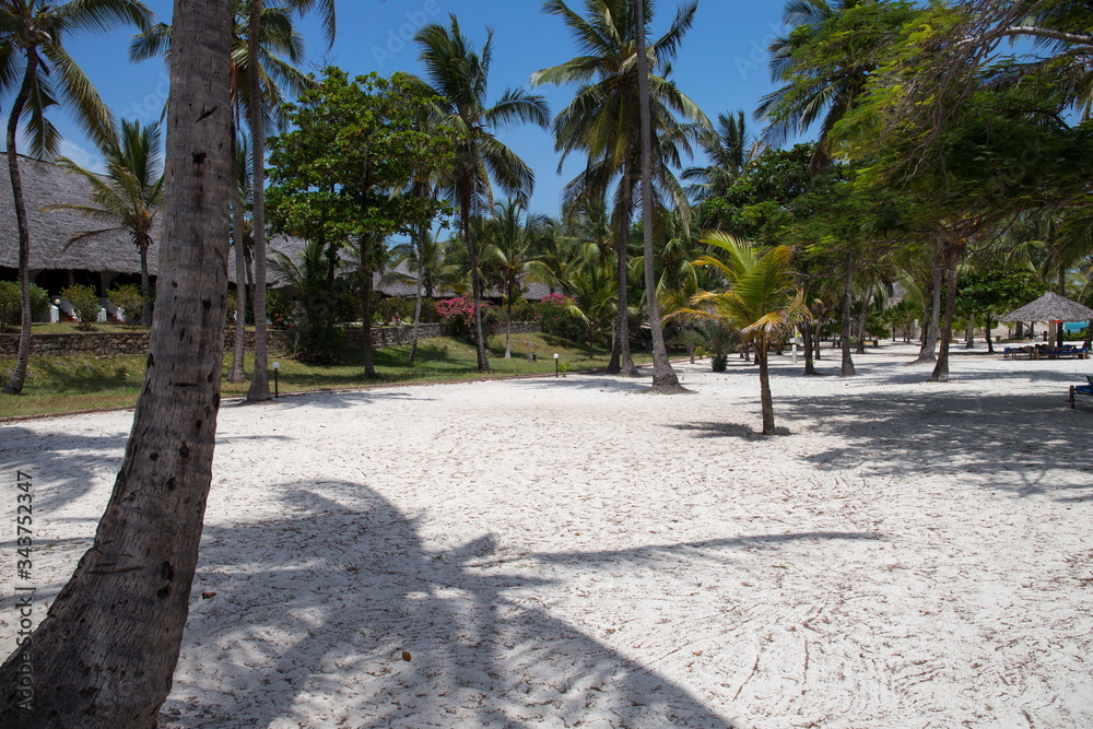 Perfect white sand beach with palm trees,Zanzibar,Tanzania