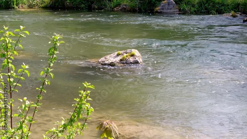 A scene at a river in the summer morning