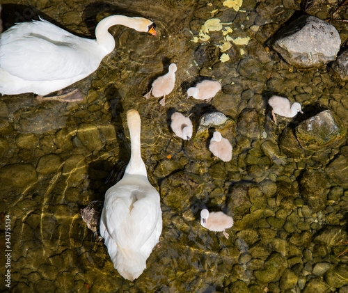 Breil sur Roya-Medrcantour-Sur le lac
