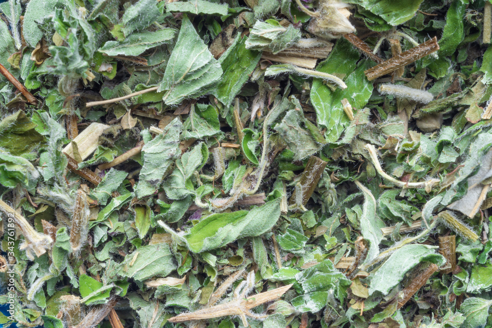 raspberry dry leaf, Rubus idaeus leaves raspberry dry leaf, Rubus idaeus leaves