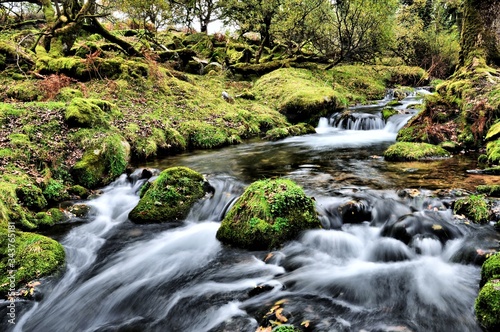 stream in the Dartmoor forest in autumn