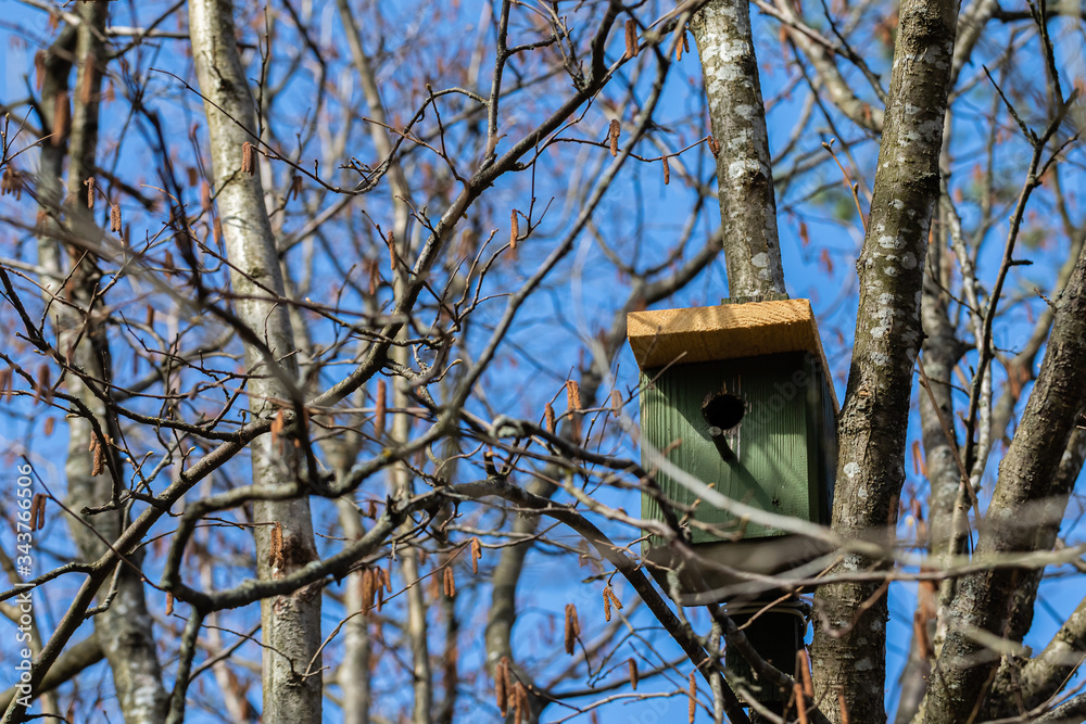 A birdhouse hangs on a tree. A small birdhouse is hanging on a tree.
