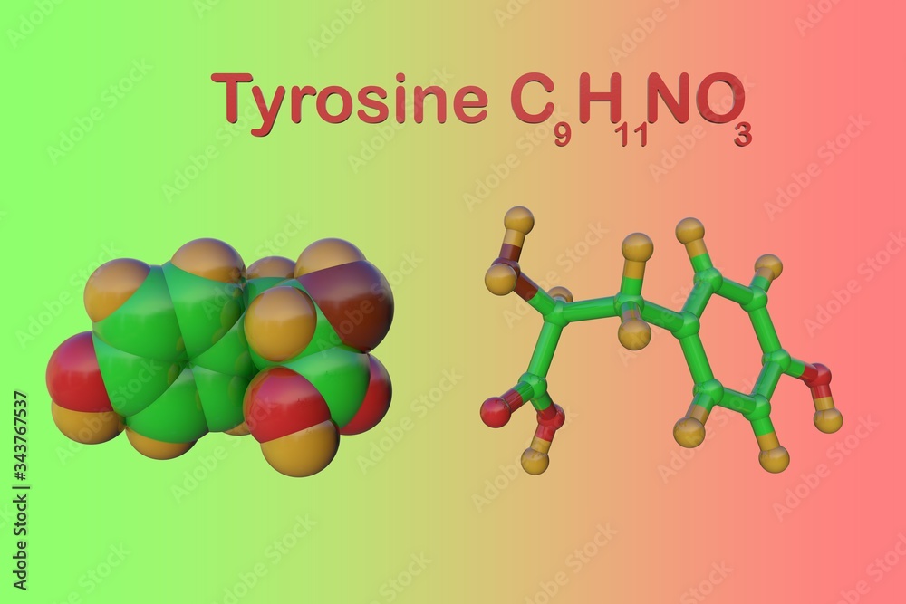 Molecular model of ltyrosine or tyrosine. It is an amino acid