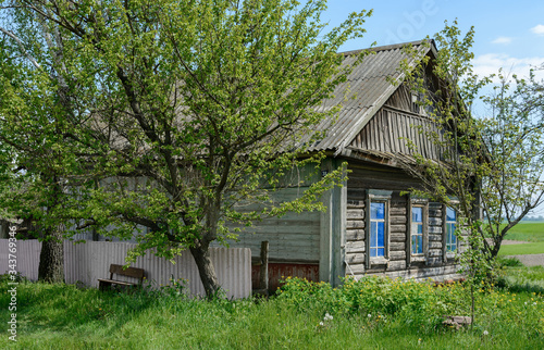 Abandoned village in the Chernobyl zone. Belarus.