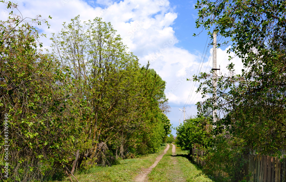 Abandoned village in the Chernobyl zone. Belarus.