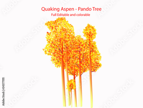 Quaking aspen Pando tree Flat vector Icon illustration full editable photo