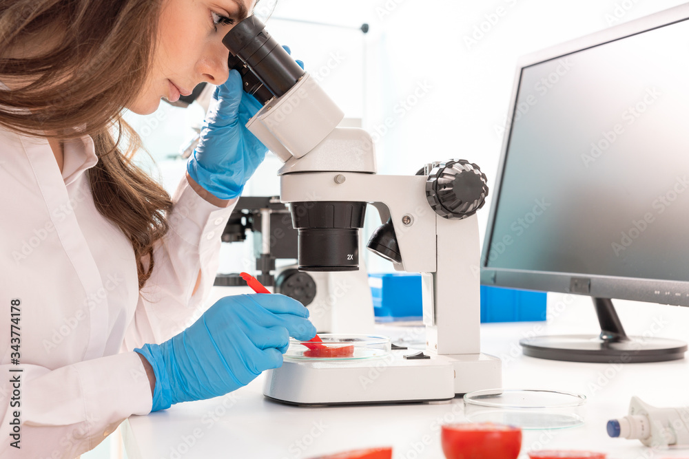 Inspection of the quality of vegetables and fruits in the laboratory of food quality Inspection of the quality of vegetables and fruits in the laboratory of food quality