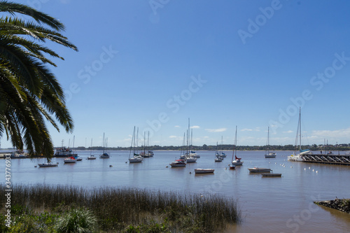 Boats anchored in the port of the city of Colonia del Sacramento, Uruguay, on the Rio de la Plata. Colonia del Sacramento is one of the oldest cities in Uruguay. photo