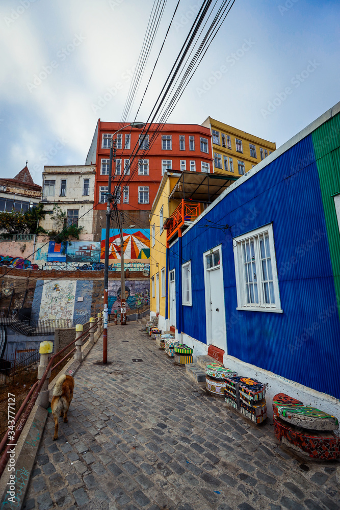 Obraz premium Panoramic View to the Mountain Hills with the Colorful and Bright Buildings with Painting, Valparaiso, Chile 