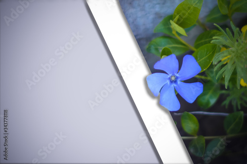Beautiful spring and summer background frame for greeting cards from wildflowers.