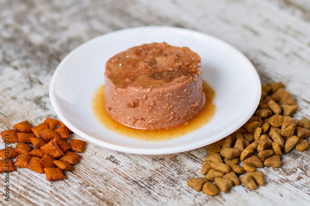 Cat food and toys for a healthy feline life Cat food and toys for a healthy feline life