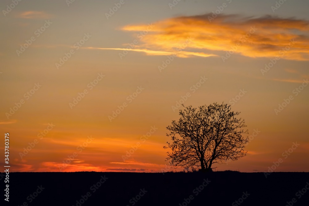 Spring evening at golden hour in the countryside with red, yellow, orange and blue sunset sky with clouds and black horizon with a silhouette of a tree. Spring evening at golden hour in the countryside with red, yellow, orange and blue sunset sky with clouds and black horizon with a silhouette of a tree.