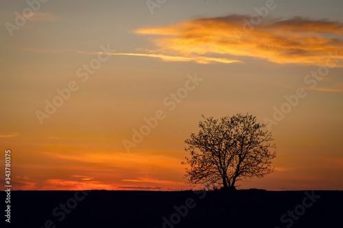 Spring evening at golden hour in the countryside with red  yellow  orange and blue sunset sky with clouds and black horizon with a silhouette of a tree. 