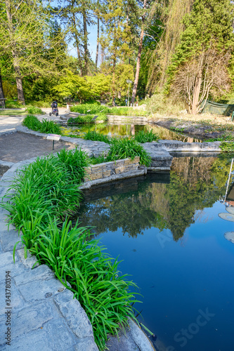 Water ponds with plants and Victoria Regia water lily on Spa island in Piestany  SLOVAKIA 