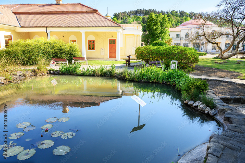 Obraz premium Water pond with plants and Victoria Regia water lily, historical building in background on Spa island in Piestany (SLOVAKIA)