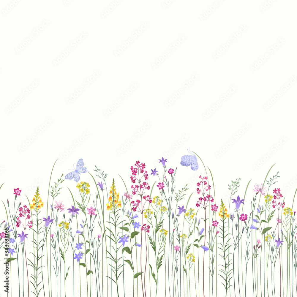 seamless floral border with summer flowers