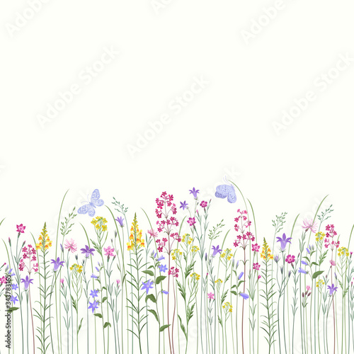 seamless floral border with summer flowers