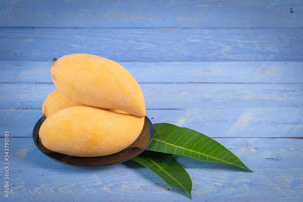 Mango with green leaves. The premium quality Mango (Nam Dok Mai) from thailand