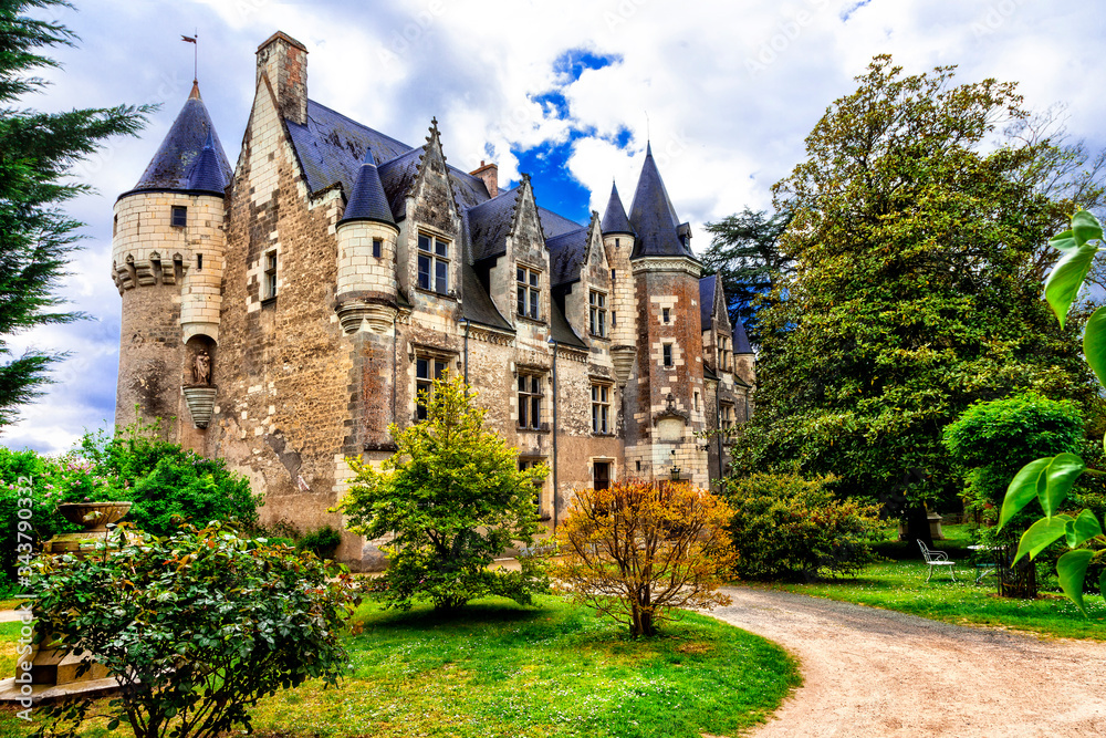 Beautiful romantic castles of Loire valley - Montresor chateau. Famous castles and landmarks of France