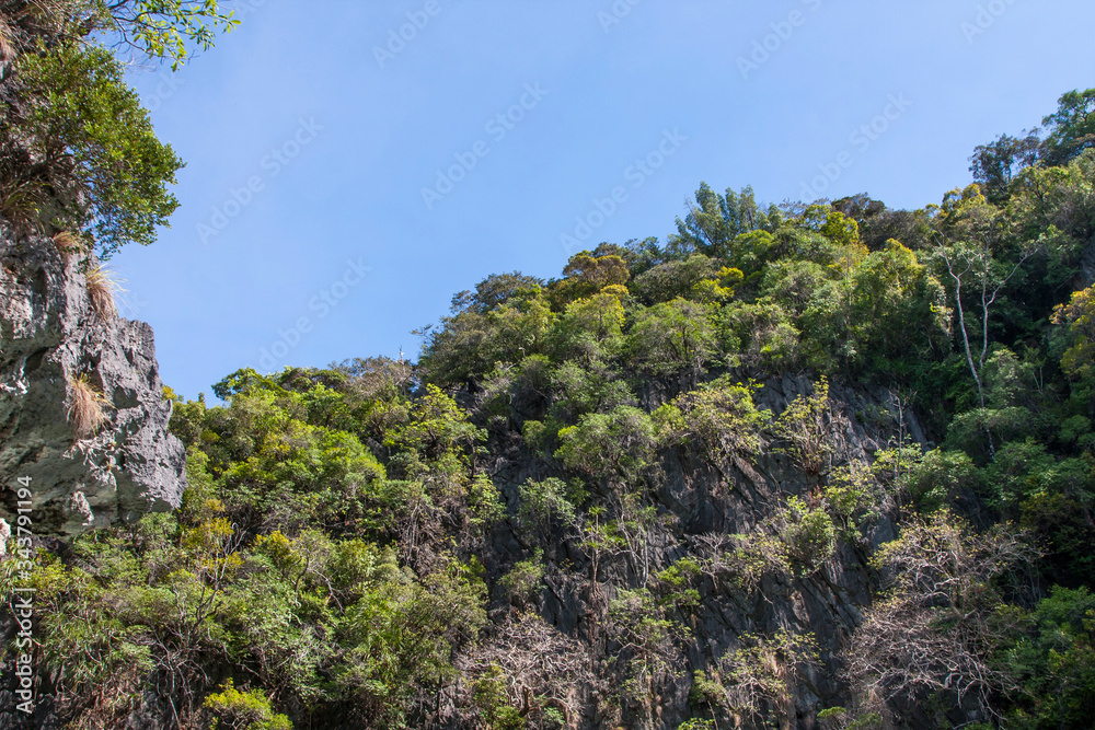 Beautiful nature on the tropical islands of Thailand