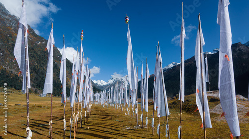 Prayer flags in Yumthang valley, North Sikkim, India photo