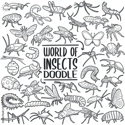World of Insects, Animal Set Line art. Doodle vector art design. Sketch traditional illustration.
