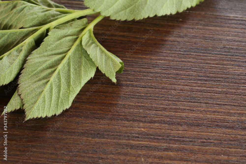 bay leaves on wooden background bay leaves on wooden background