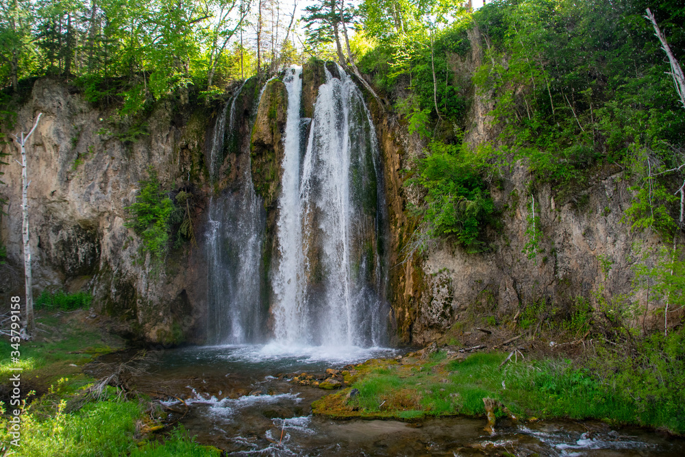 waterfall in the forest