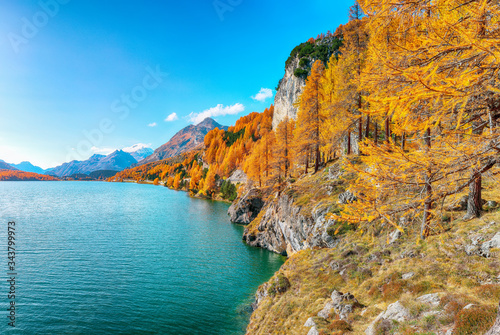 Picturesque autumn scene in Swiss Alps and views of Sils Lake  Silsersee .
