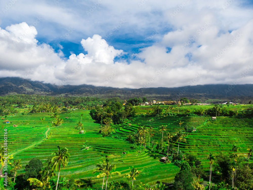 Tourist destination-Bali. Aerial top view of paddy rice terraces, green agricultural fields in countryside or rural area. Aerial view of the Jatiluwih rice terraces.