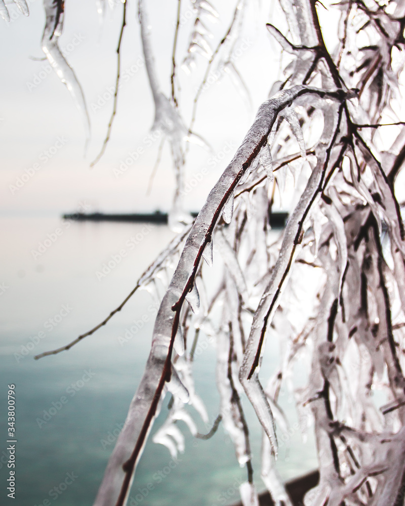 A pier extending out into the calm, cold lake water in the wintertime is scene through the icy covered branches of a tree. A pier extending out into the calm, cold lake water in the wintertime is scene through the icy covered branches of a tree.
