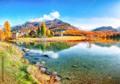 Spectacular autumn scene of Sils im Engadin (Segl) village and Sils Lake (Silsersee).