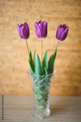 tulips in glass vase on table