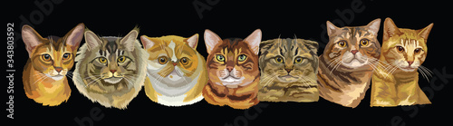 Vector long illustration with cats
