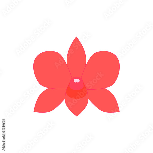 Orange Orchids Flower On White